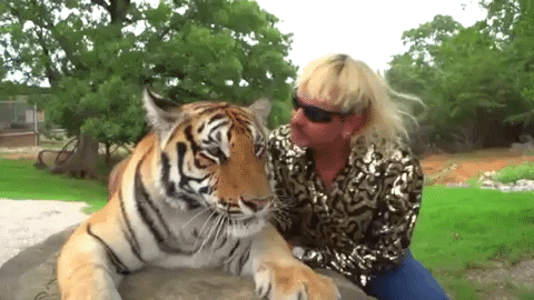 tiger king