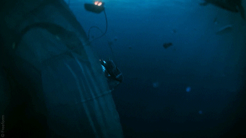 siren